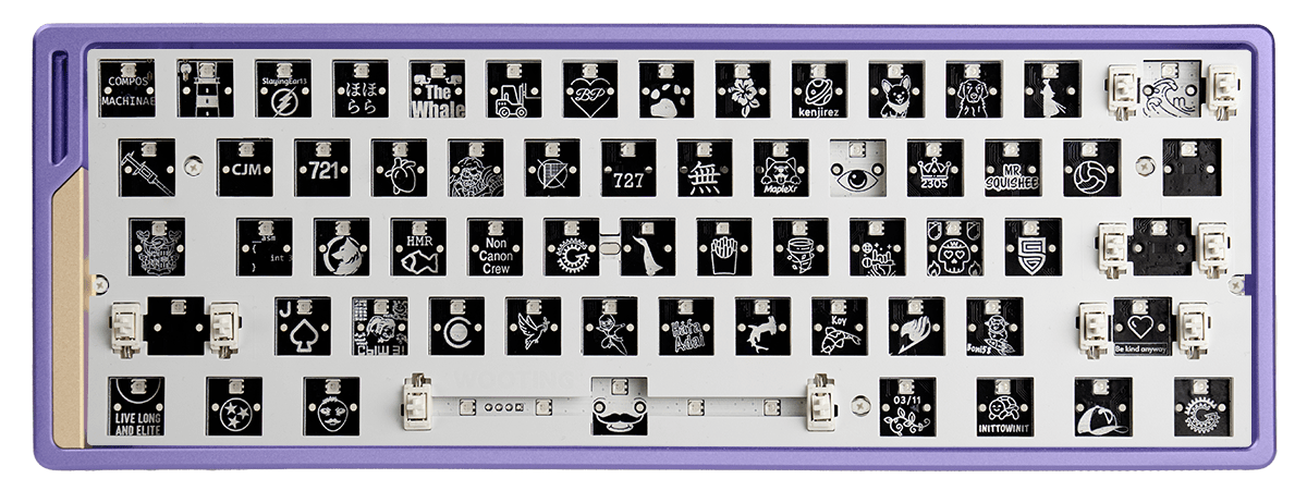 Wooting 60HE+ module quickstart